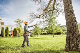 Leaf Removal in Clarks Green, PA